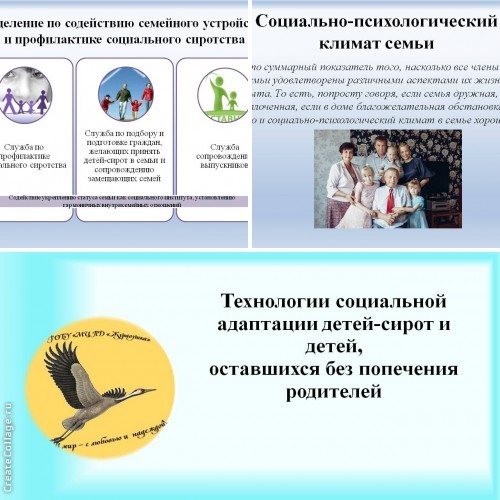 День открытых дверей для специалистов опеки и попечительства Мурманской области